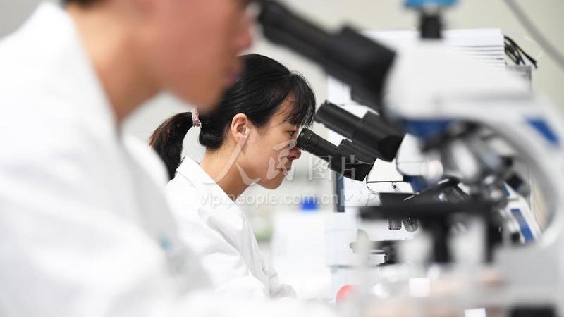 离心管在生物科技领域的应用与选择要点**