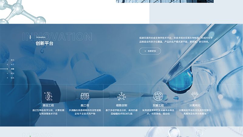 揭秘上海生物医药外包工艺流程：关键环节与选择要点