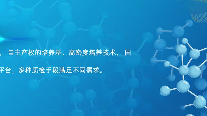 CDMO质量标准：解码生物医药生产的安全与合规