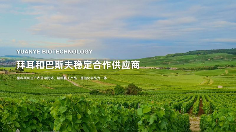 50升发酵罐：揭秘其型号参数背后的奥秘
