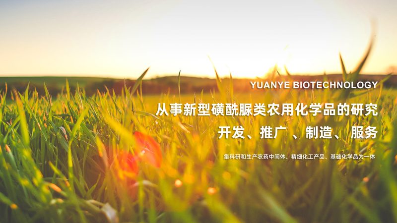 CRO：揭秘医药研发背后的关键角色