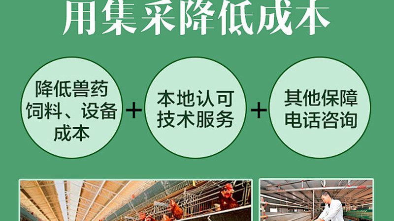 离心管代理：如何选择合适的合作伙伴**
