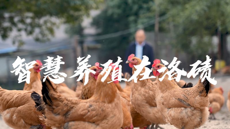 PCR检测标本采集：关键步骤与注意事项