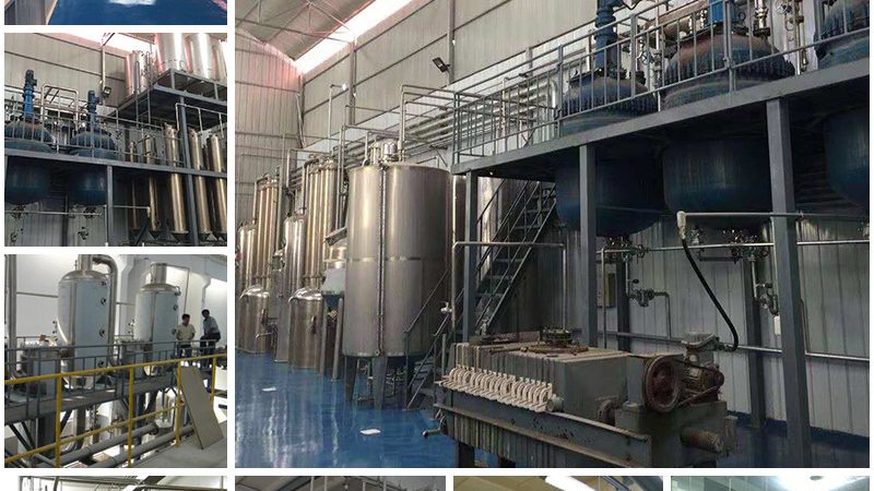 细胞培养实验方案：构建高效科研的基石**