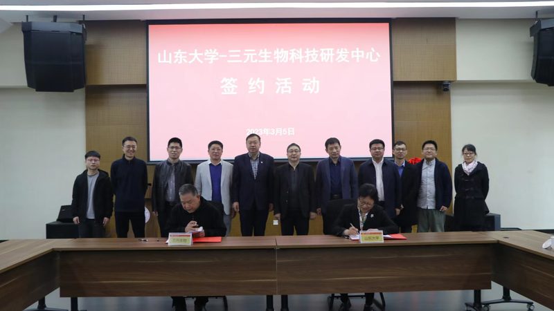 临床试验外包：揭秘成本构成与影响因素