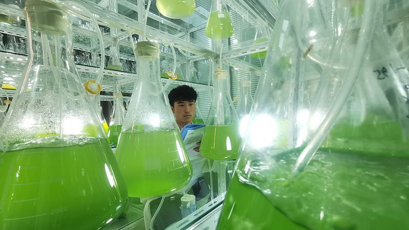 细胞治疗产品申报成功率影响因素解析**